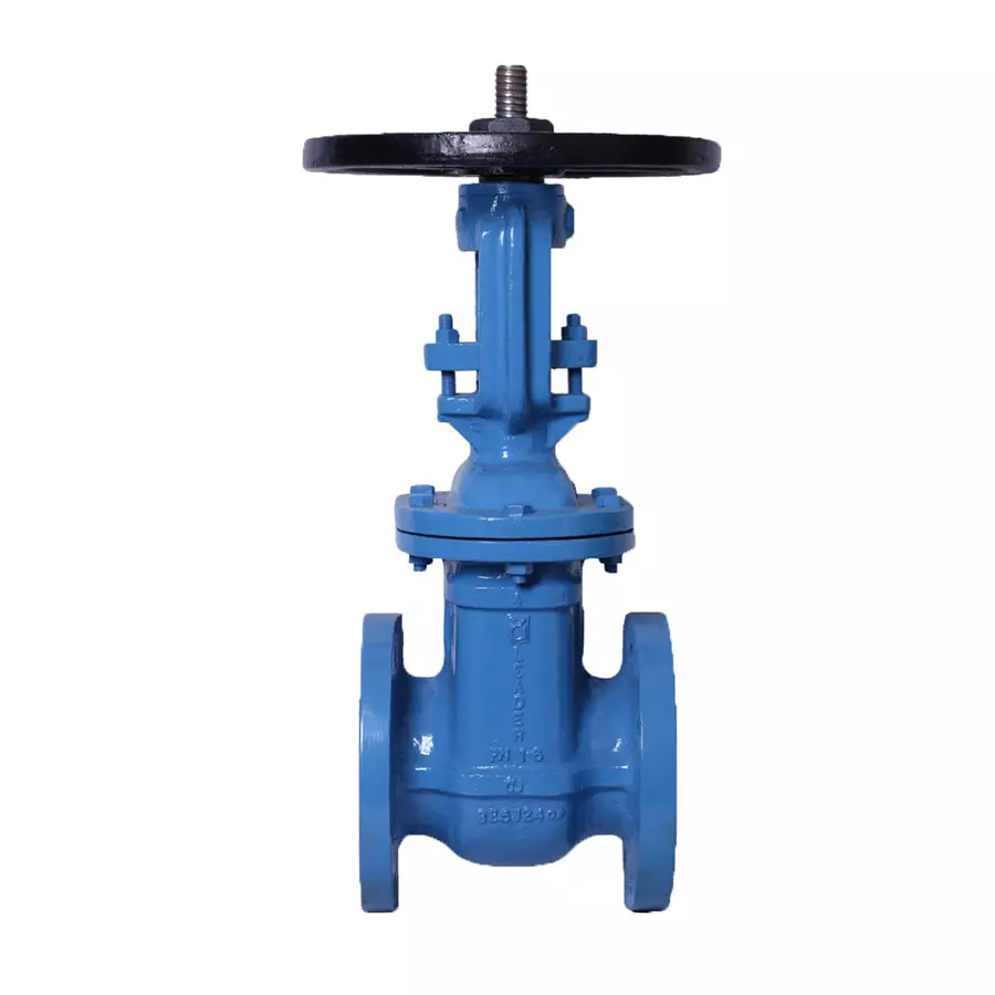Cast & Ductile iron valves manufacturer in Howrah, Hooghly, West Bengal - Anushka industries