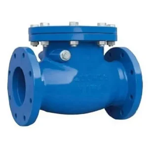Cast iron & Ductile iron Non Return/ Reflux valve manufacturer in Howrah, Hooghly, West Bengal - Anushka industries
