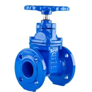 Ductile iron Resilient seated valve manufacturer in Howrah, Hooghly, West Bengal - Anushka industries